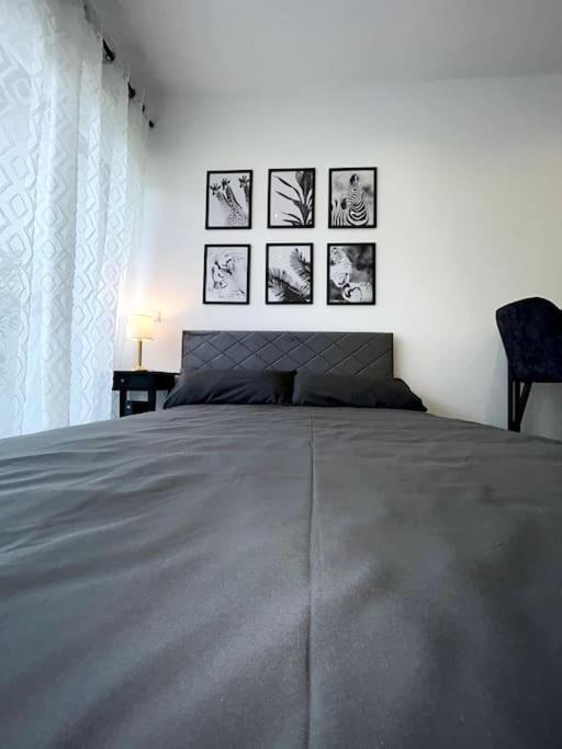 Bahnhofsapartment Loerrach Екстер'єр фото